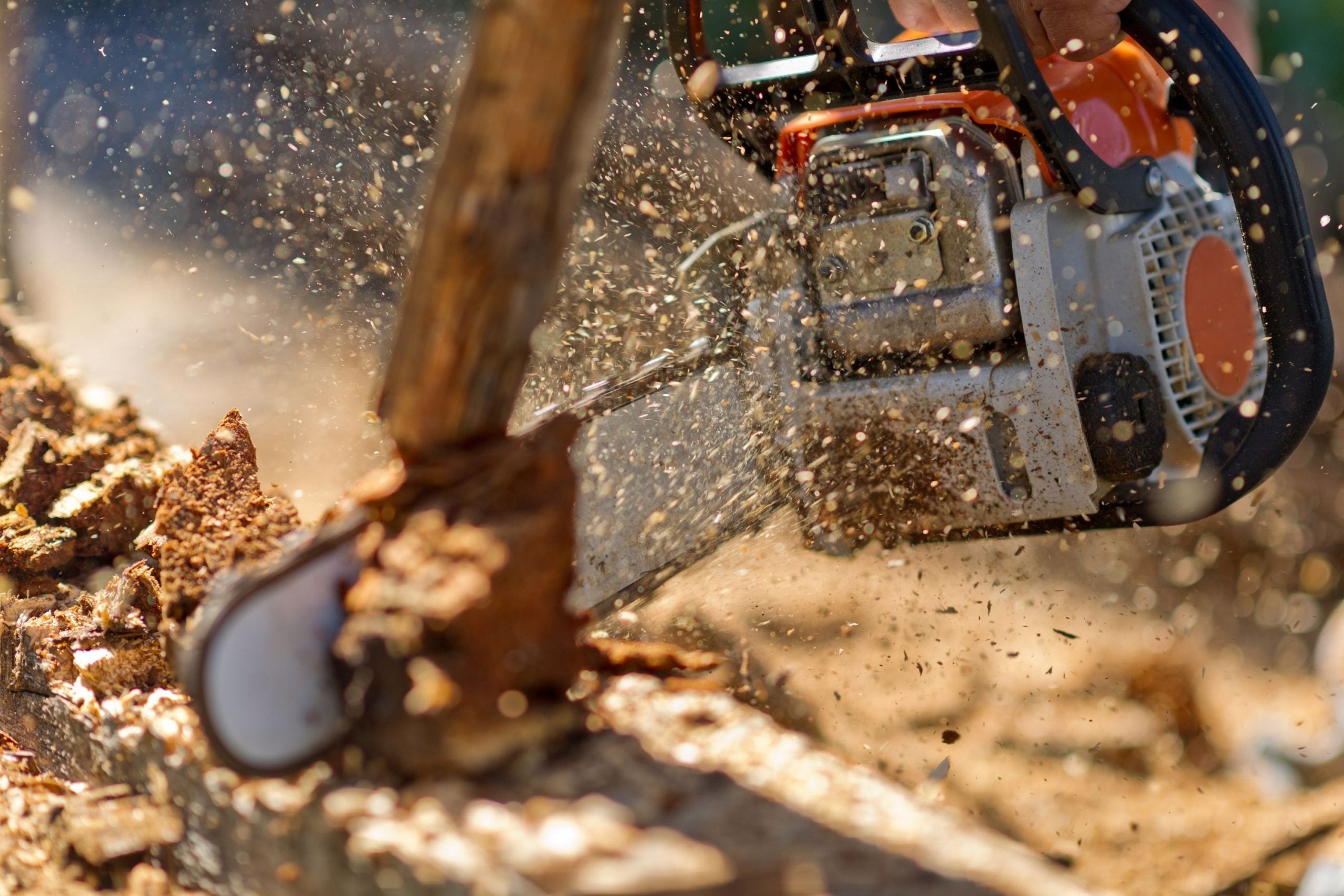 How to Make a Chainsaw Chain Last Longer