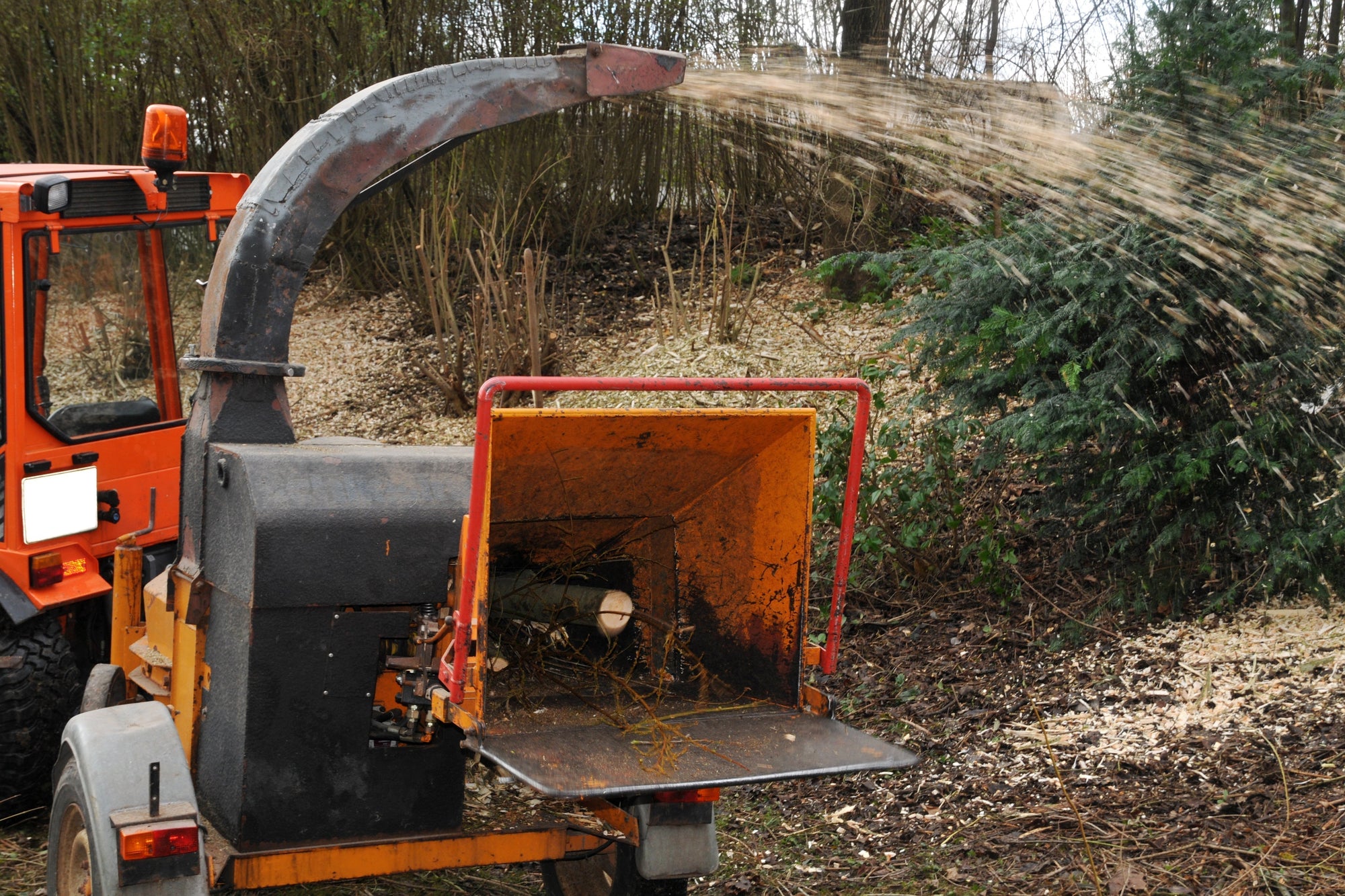 Why August Is the Best Time to Stock Up on Forst Blades