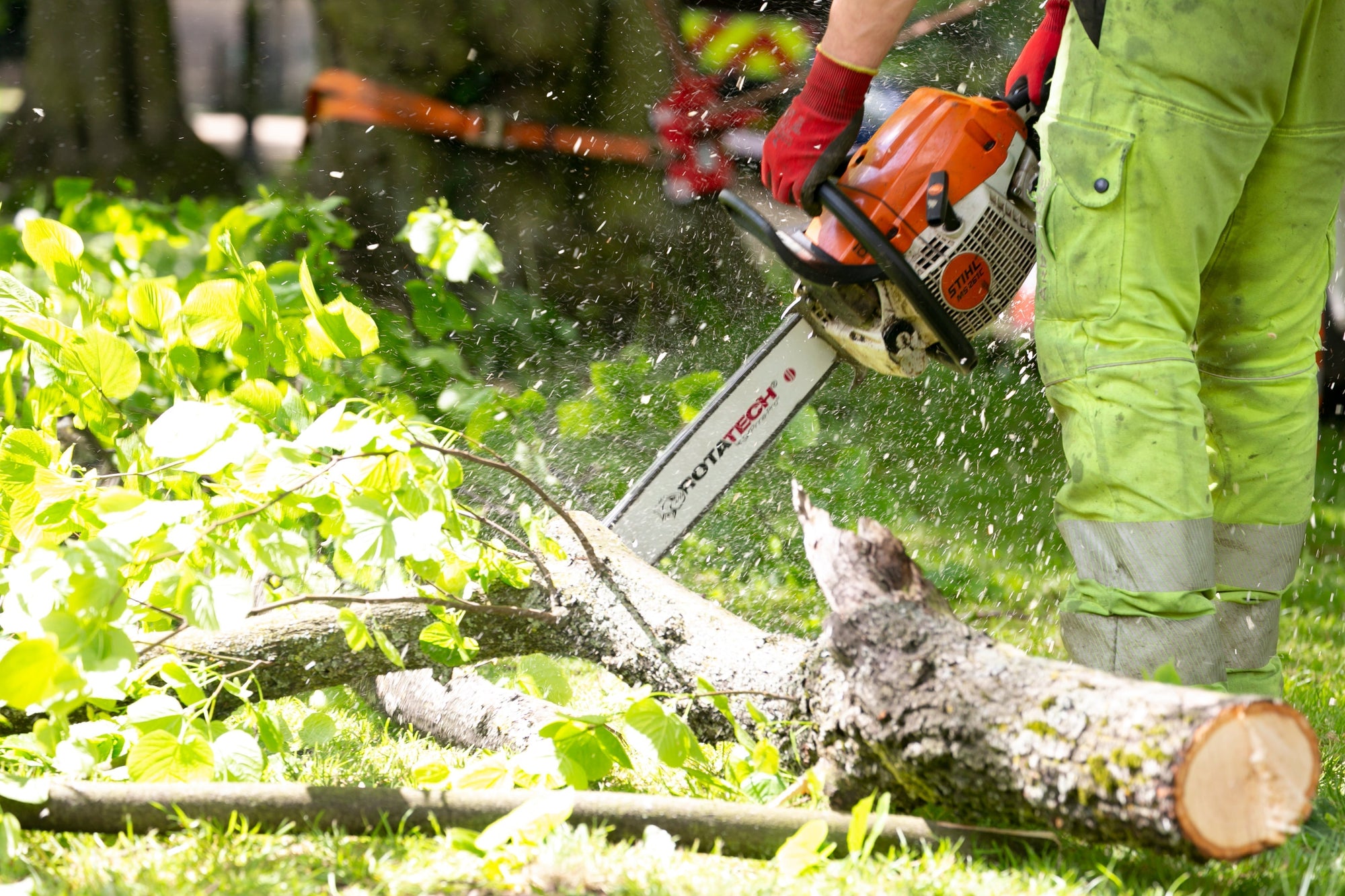 Avoid These Common Chainsaw Mistakes (and What to Do Instead)