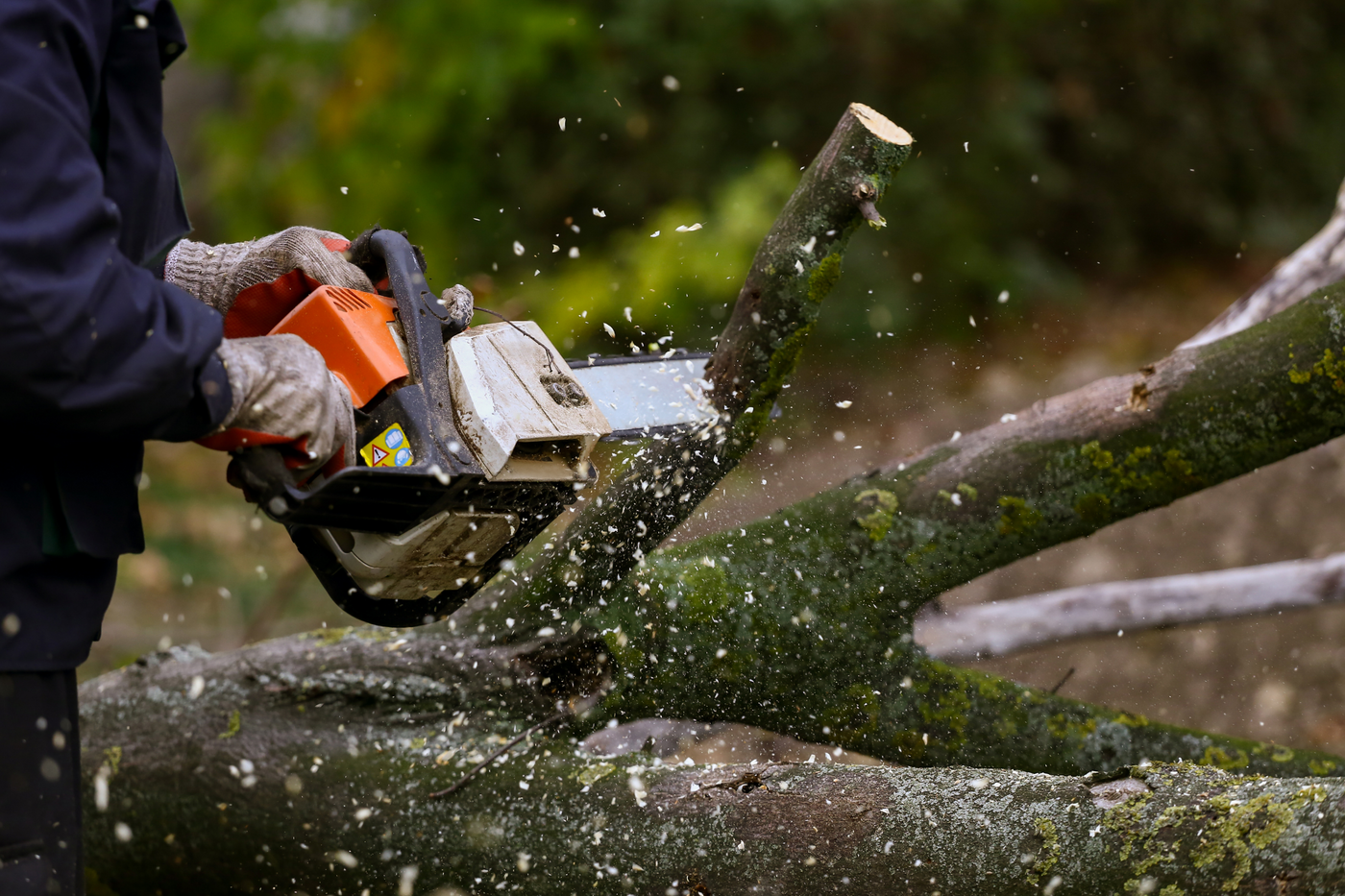 How To Use A Chainsaw
