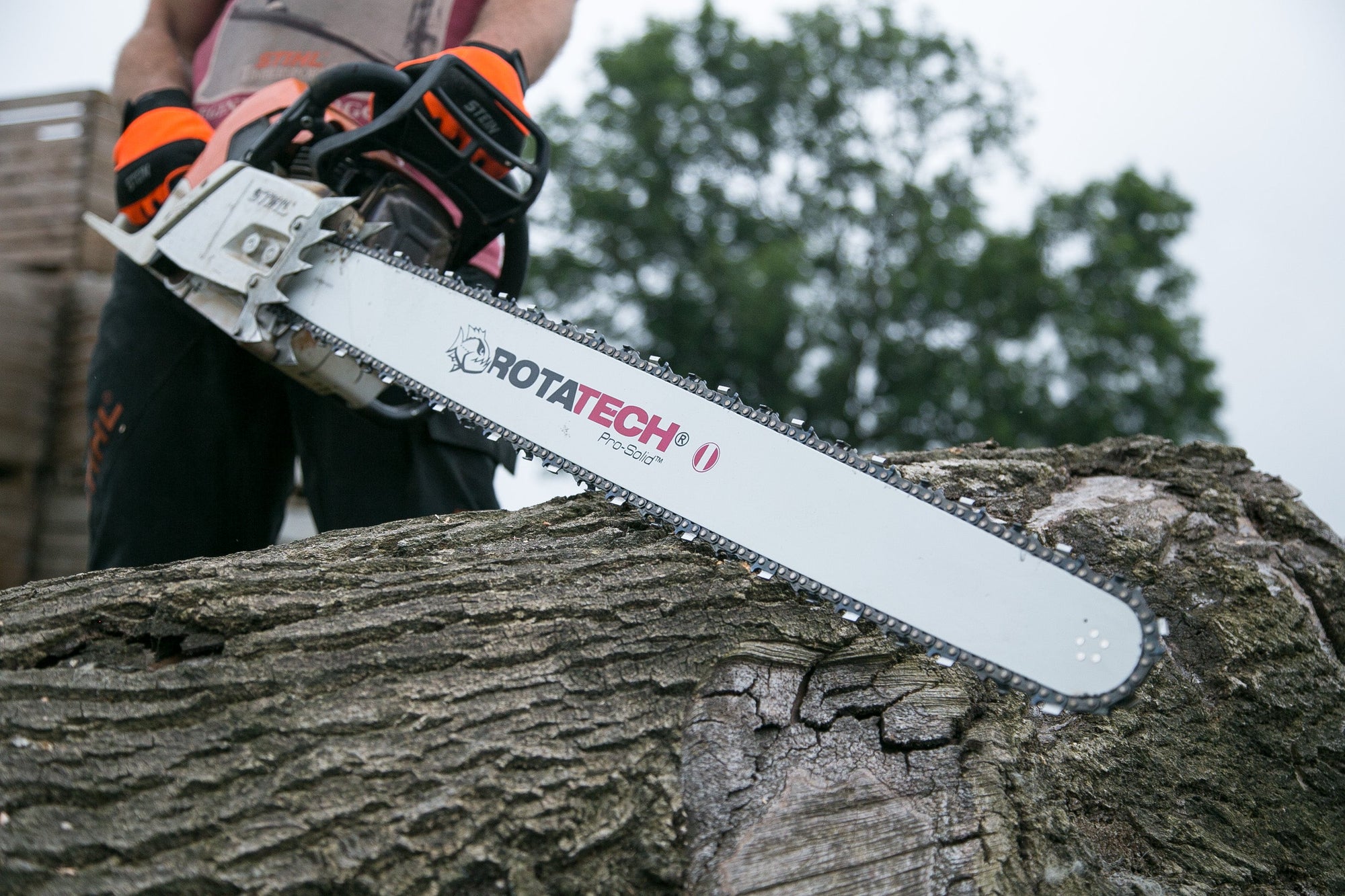 Best Chainsaws for Beginners 2026