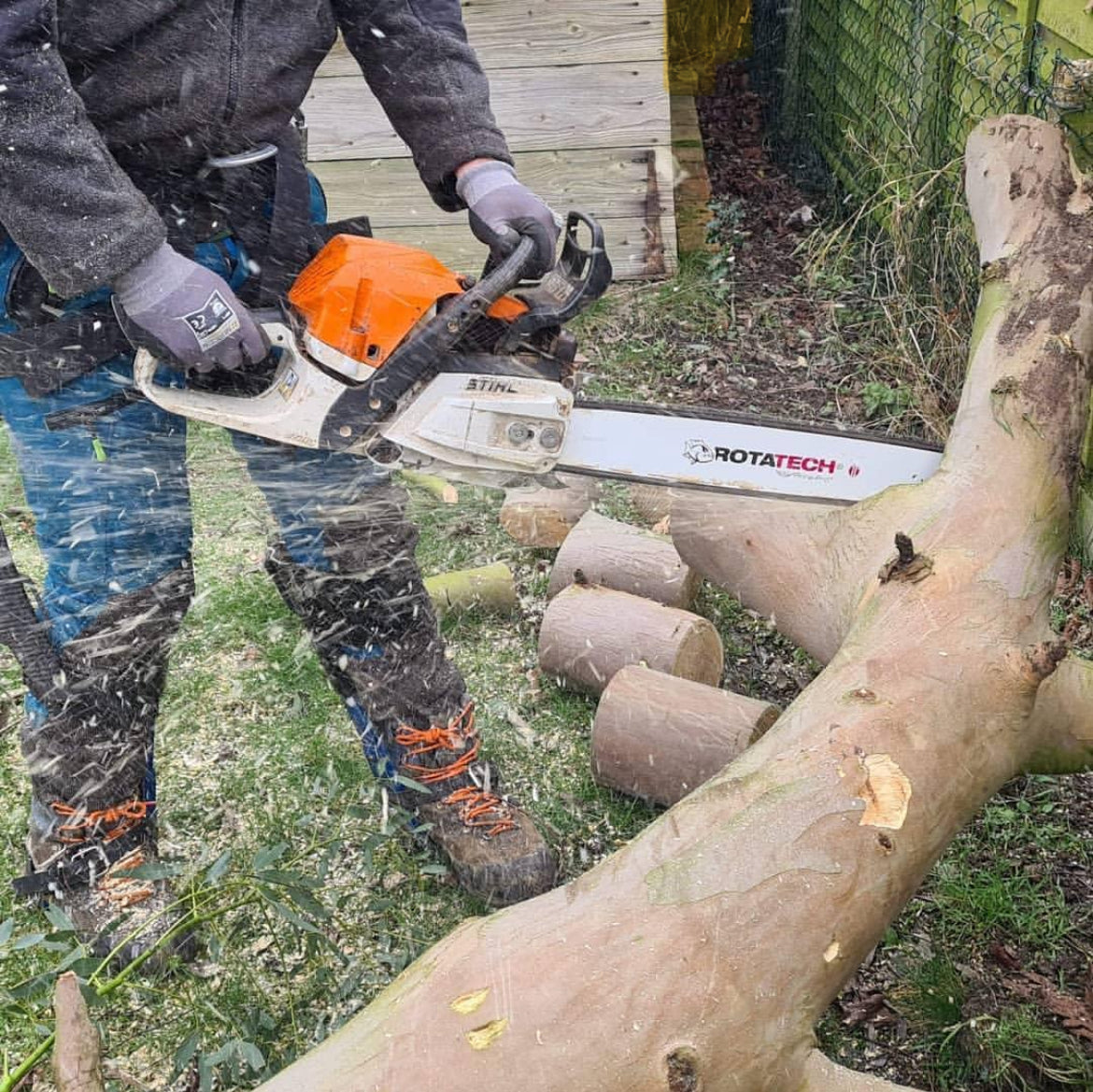 Chainsaw Chain Dull After 1 Hour