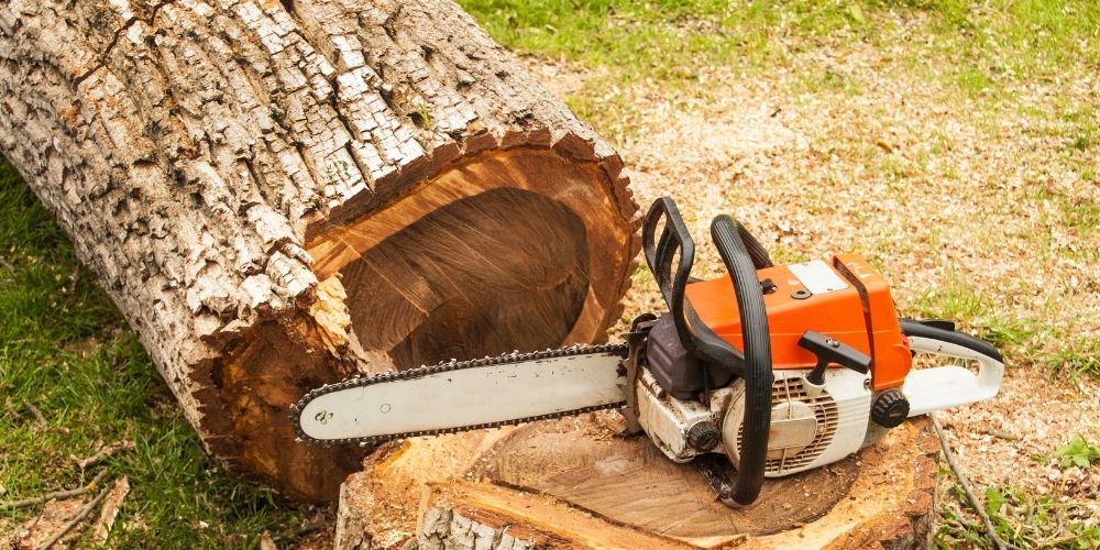 Is It Worth Sharpening A Chainsaw?