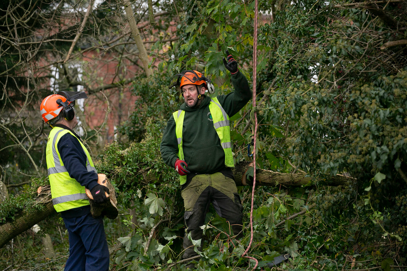 Essential Chainsaw Gear for Autumn