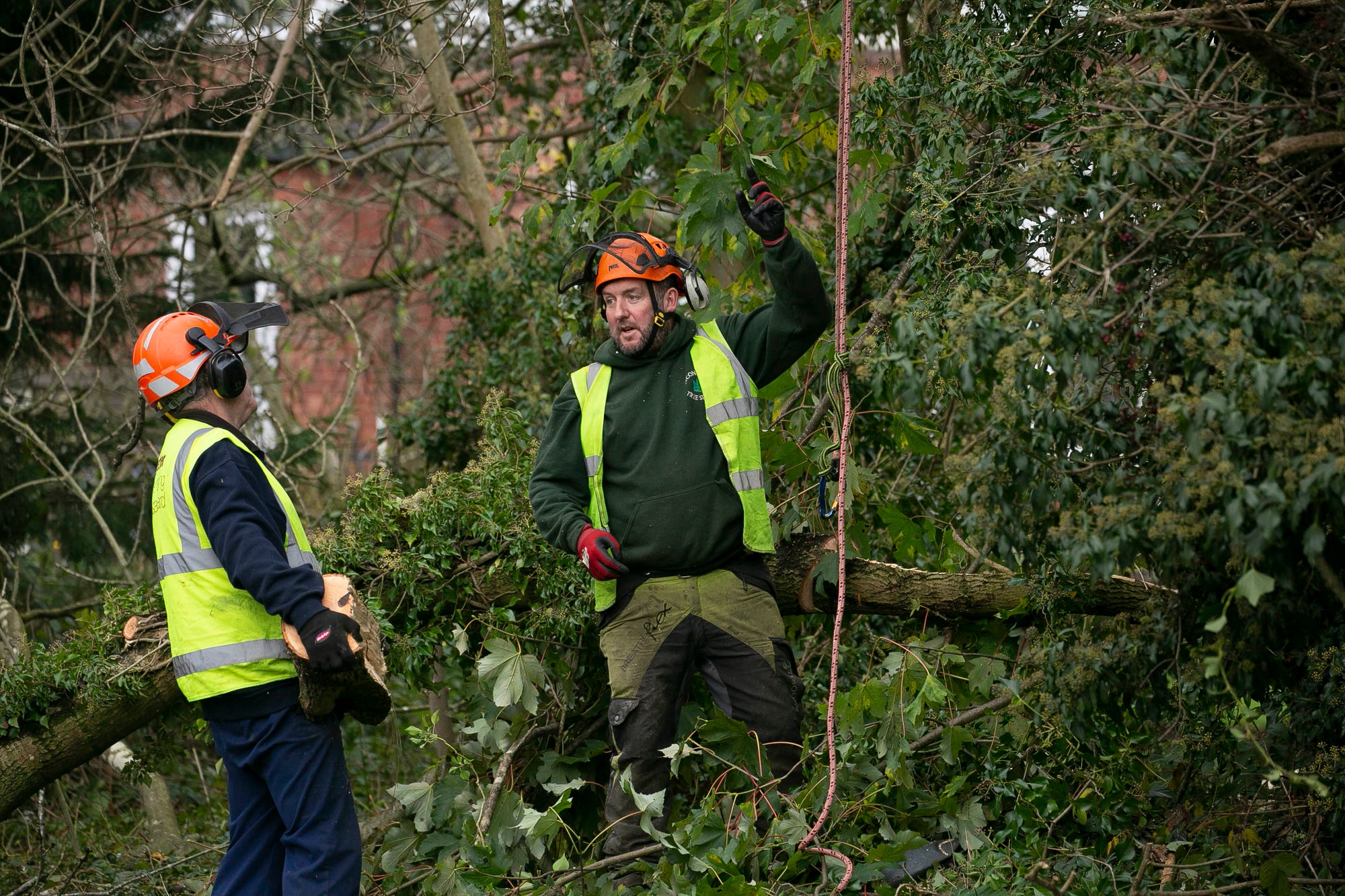 Essential Chainsaw Gear for Autumn