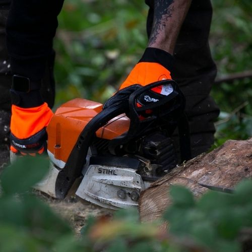Top 5 Tree Cutting Tools for Landscape Gardeners