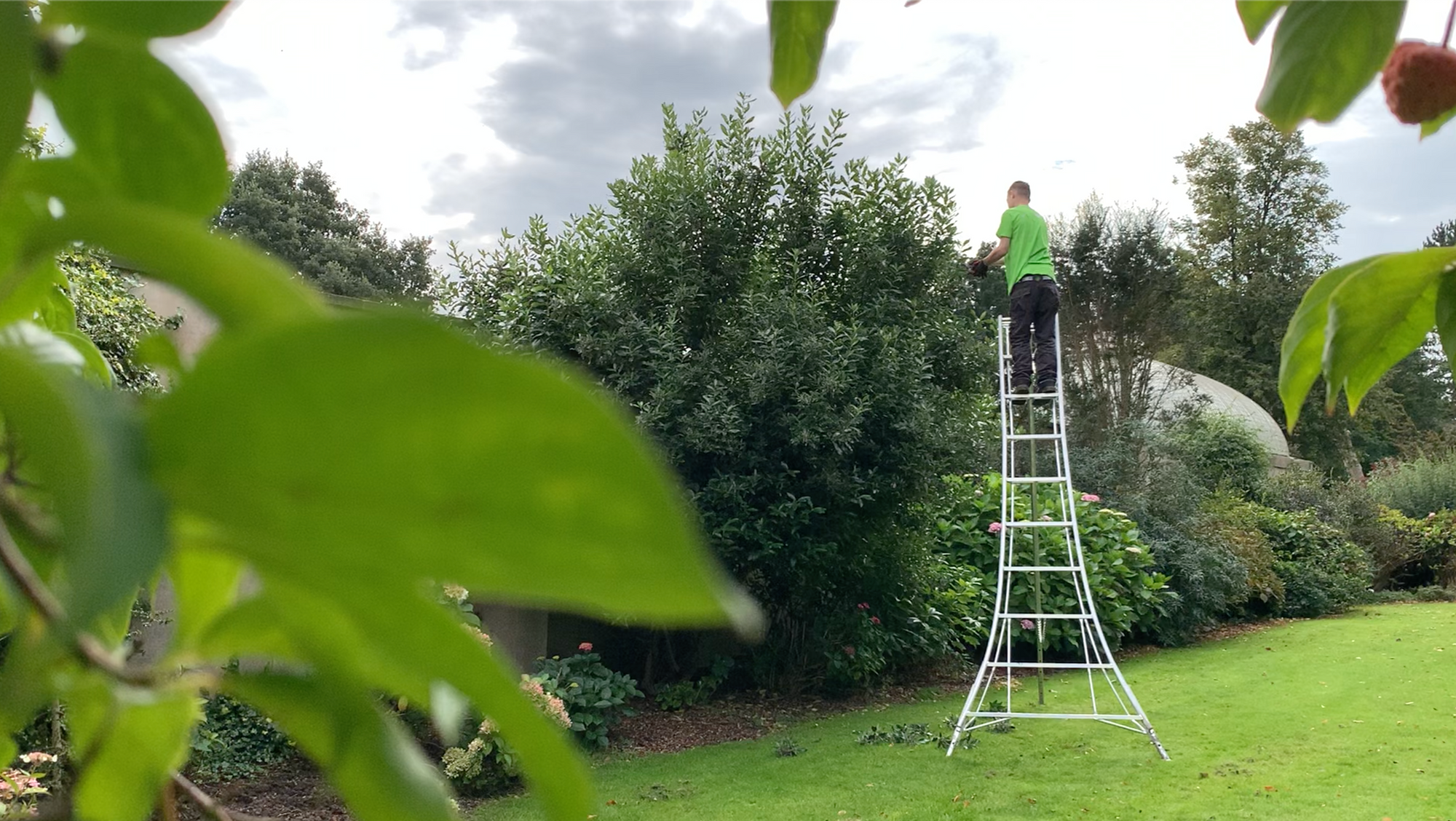 10 Gardening Jobs to Do in March