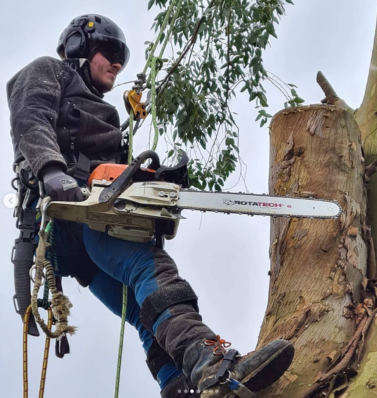 Chainsaw Bar Length Guide: Which Length Do You Need?