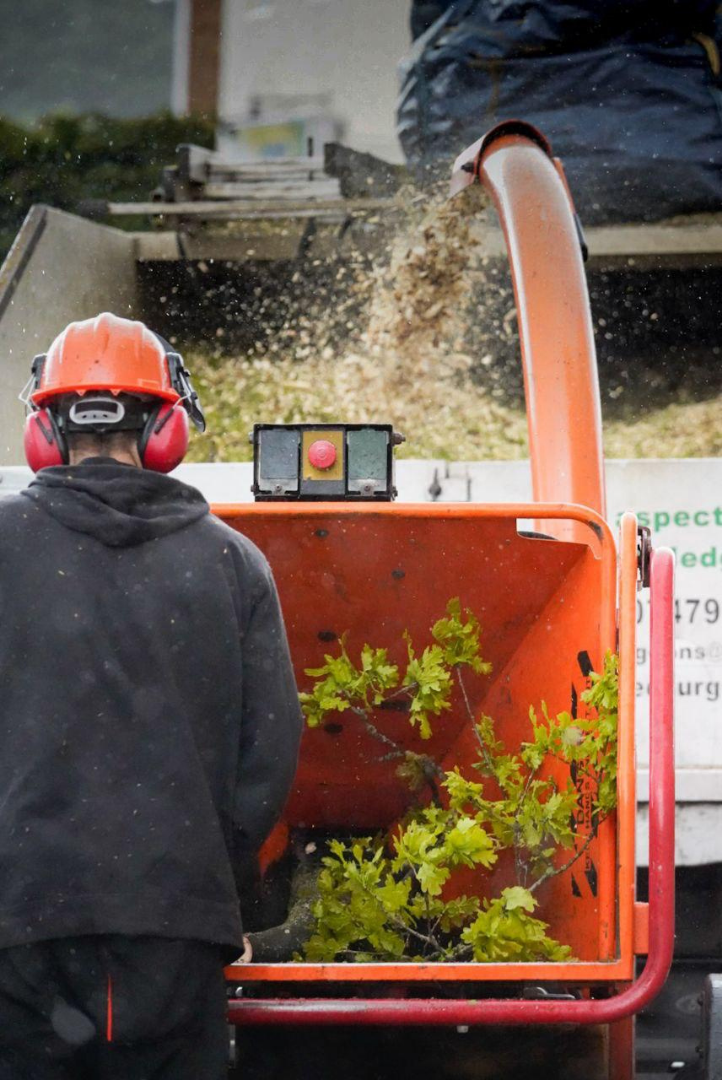 Timberwolf Chipper Blade Replacements