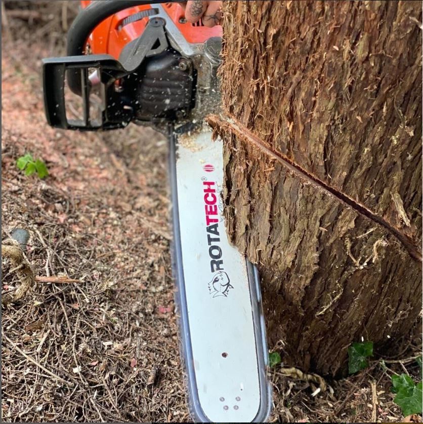 Chainsaw Cutting Crooked: Causes & Solutions