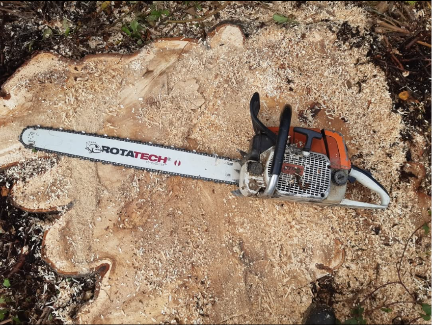 Stihl Chainsaw Chains: Size Chart & Model Finder