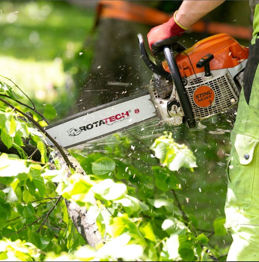 Stihl Chainsaw Bars: Size Chart & Compatibility Guide