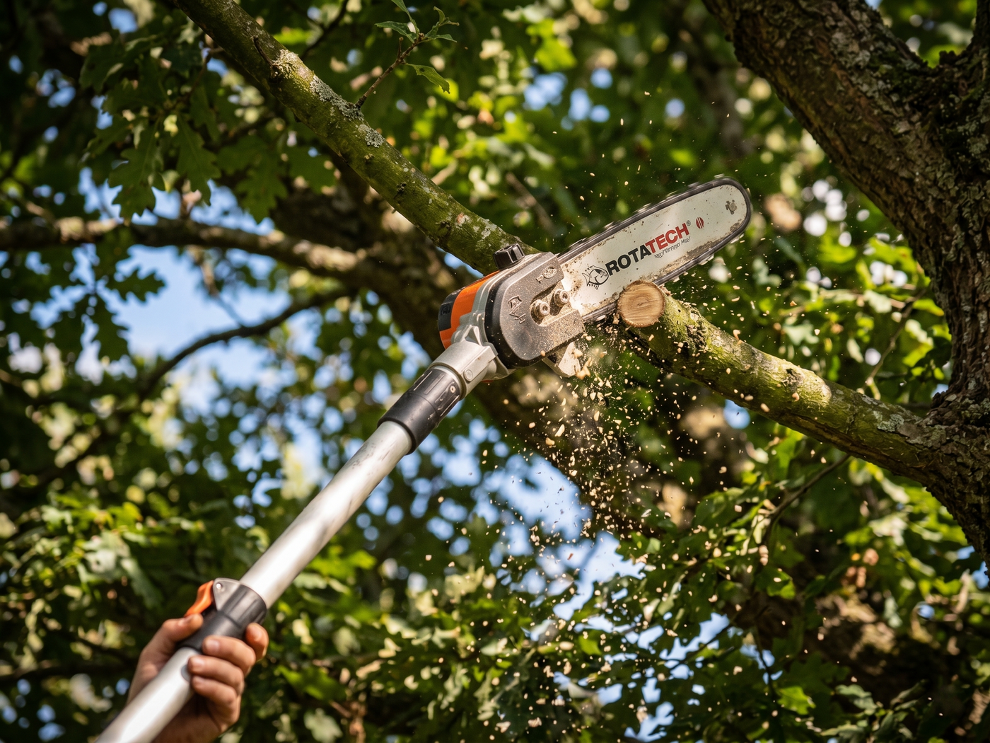 Pole Pruner Chain Sizing & Compatibility