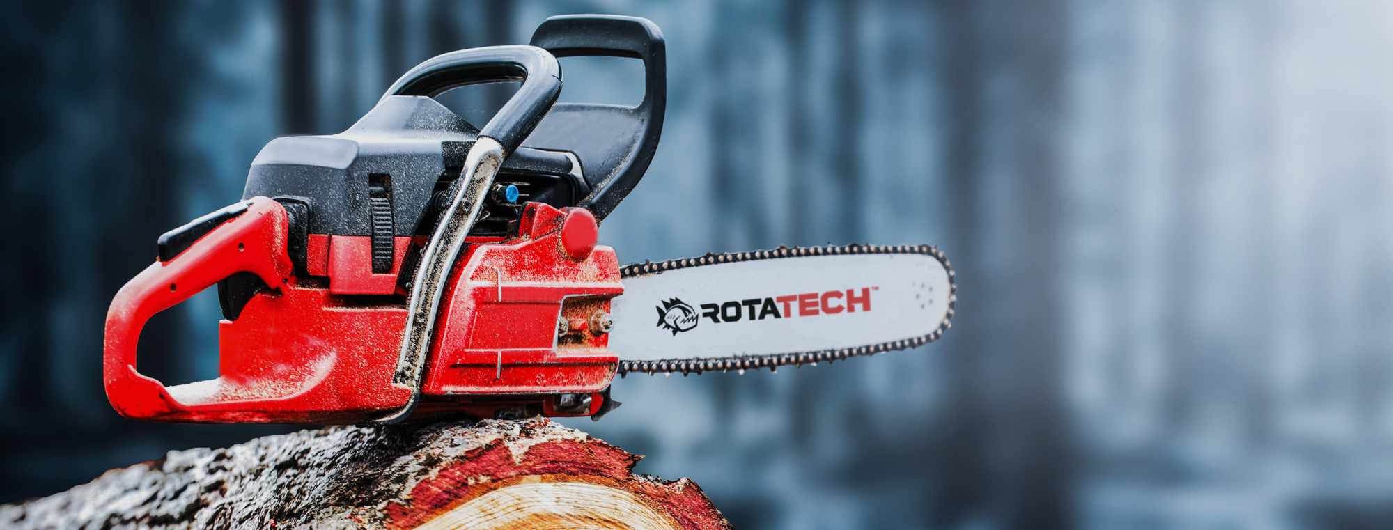 Winter Prep Every Arborist Needs | Tips & Tricks