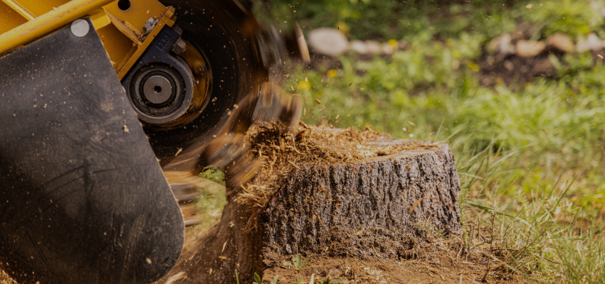 Stump Grinder Bolts