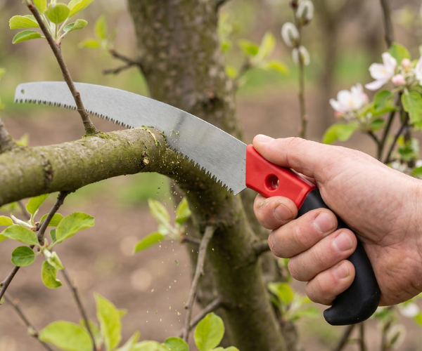 Garden Saws