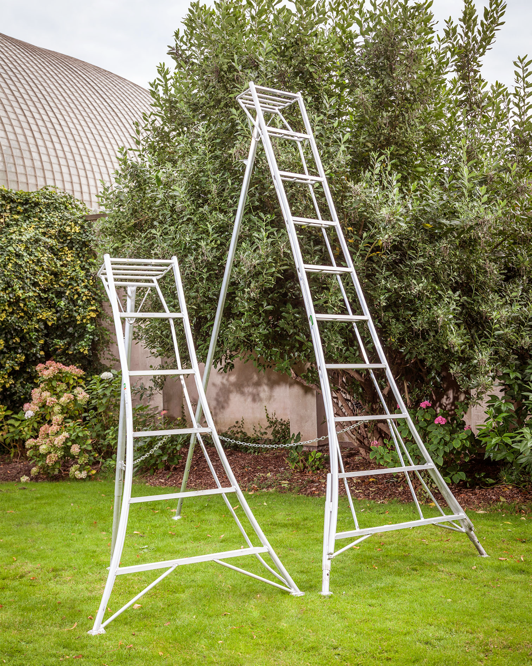 garden ladder