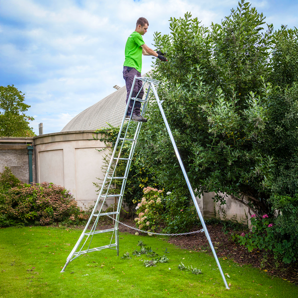 backyard ladder_tall_grande.png?v=